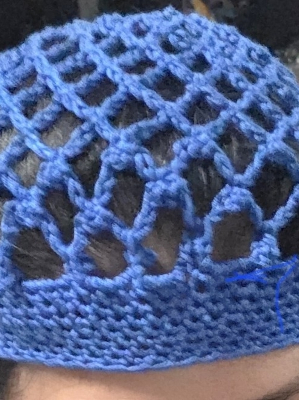 Handmade Blue Crochet Hair Snood